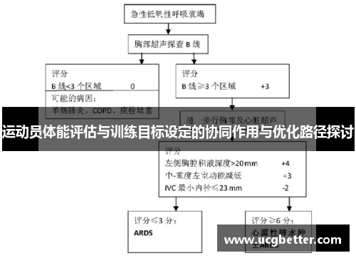 运动员体能评估与训练目标设定的协同作用与优化路径探讨